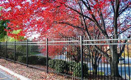 Montage Ornamental Steel | Master Halco